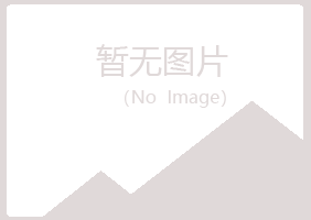 益阳赫山斑驳水泥有限公司